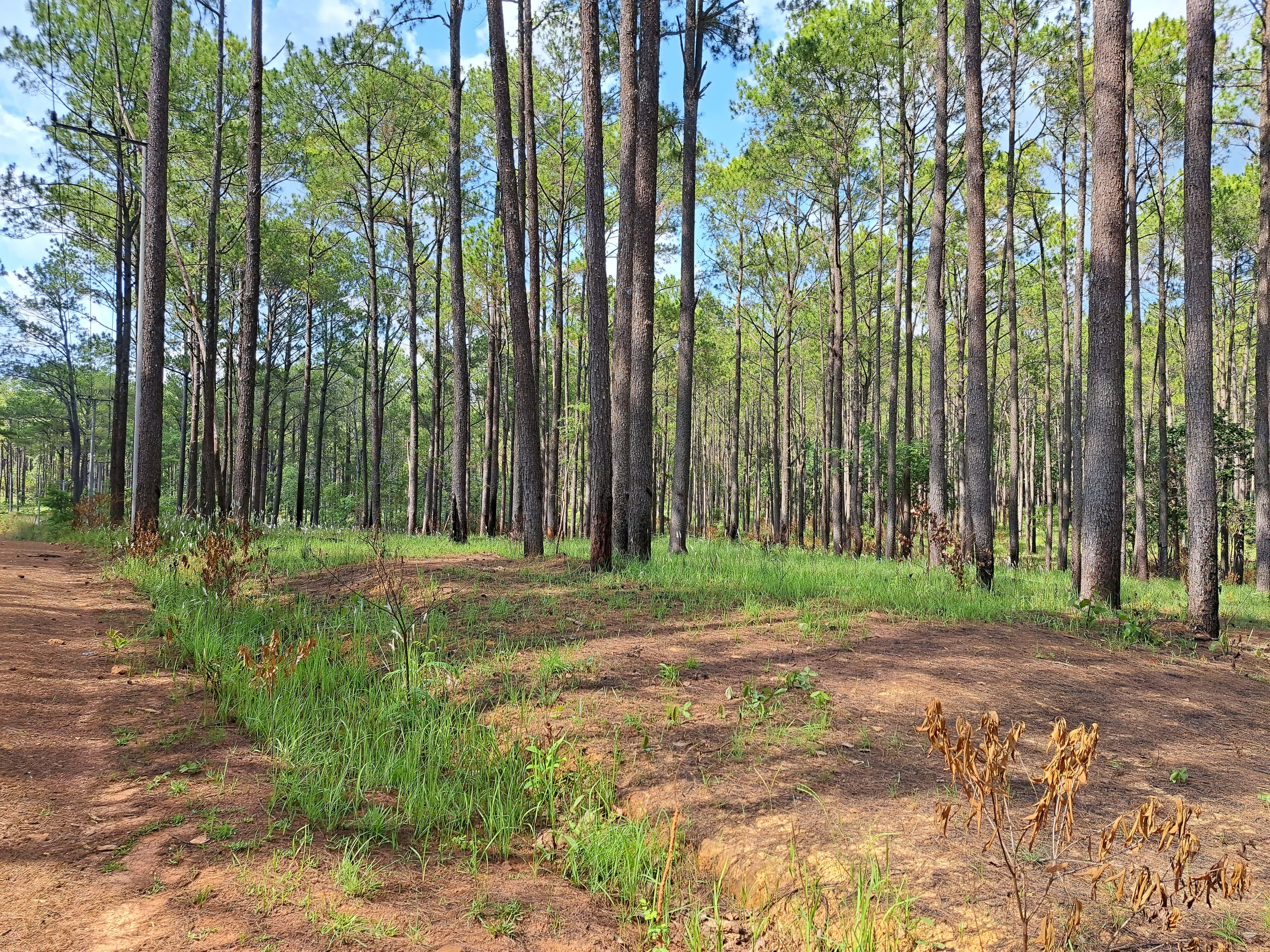 20230408_150229-min_wywkfu