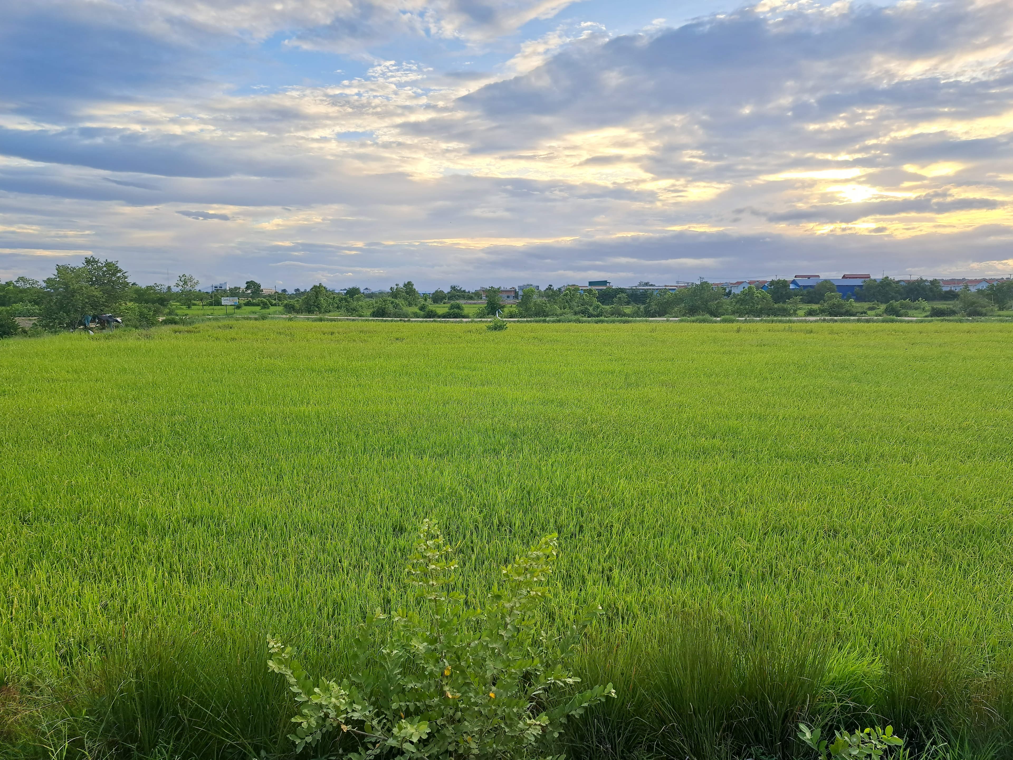 20230611_174926-min_lpz7ar