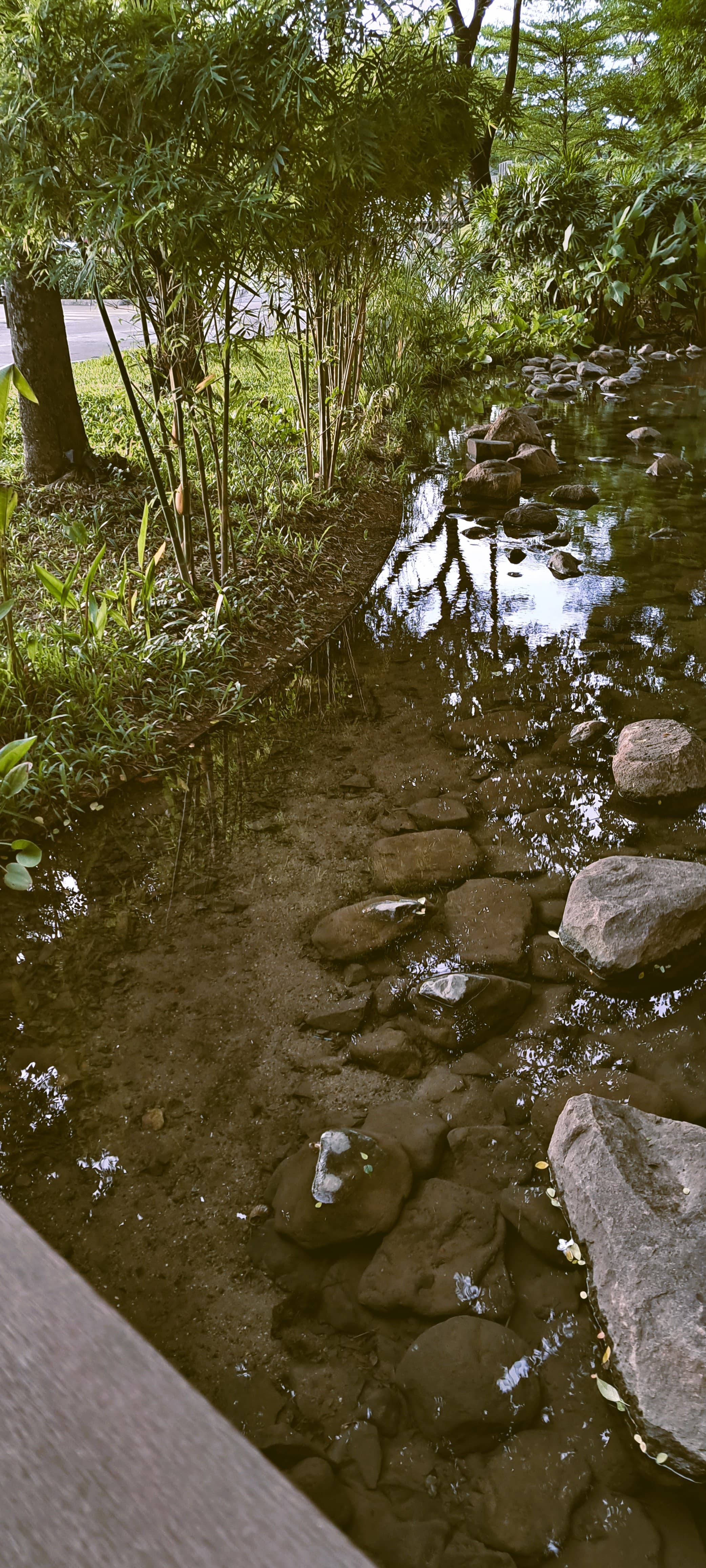 20230701_175503_1_qwddmx