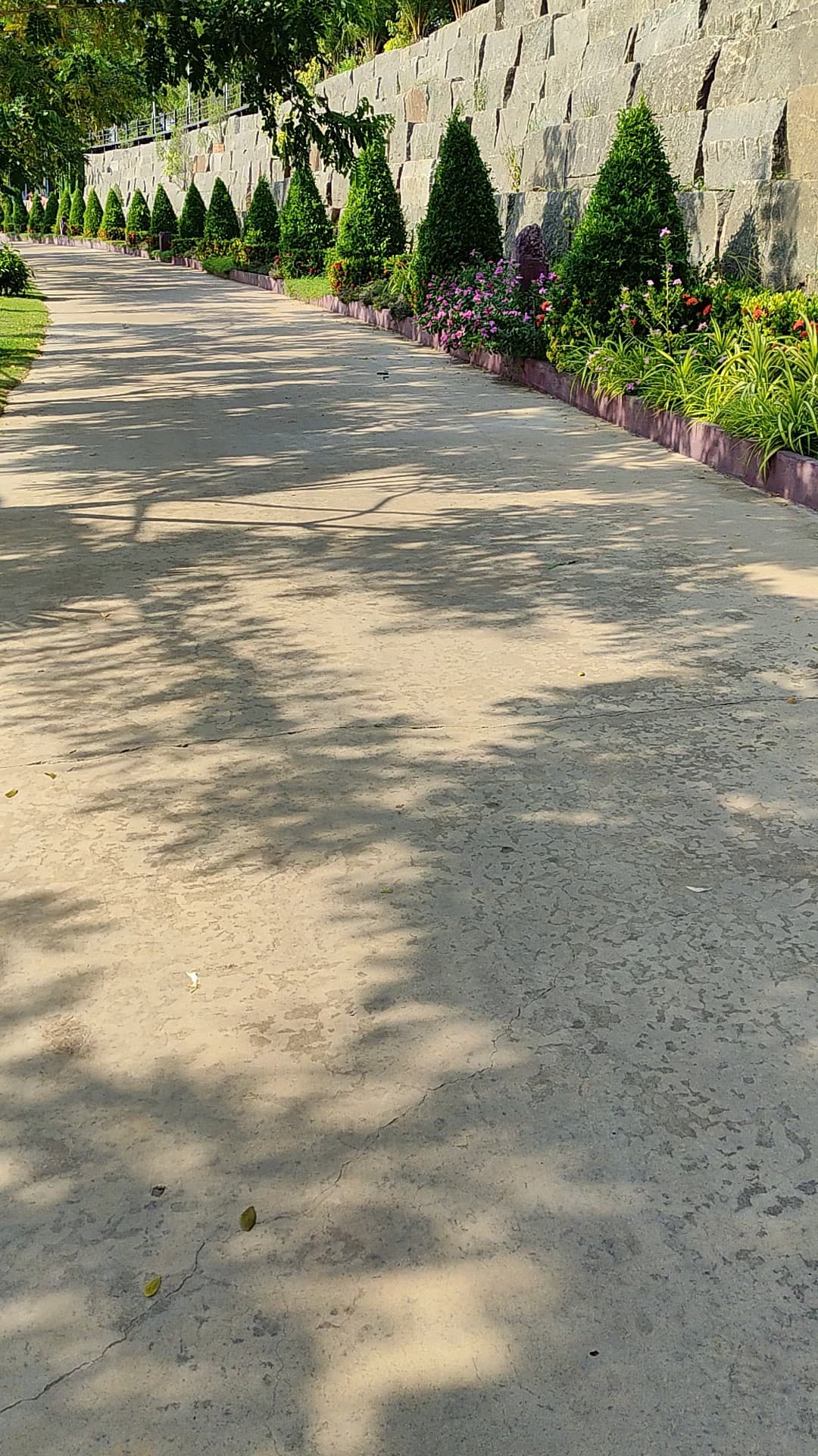 VID_20220201_151340370_sdny4q