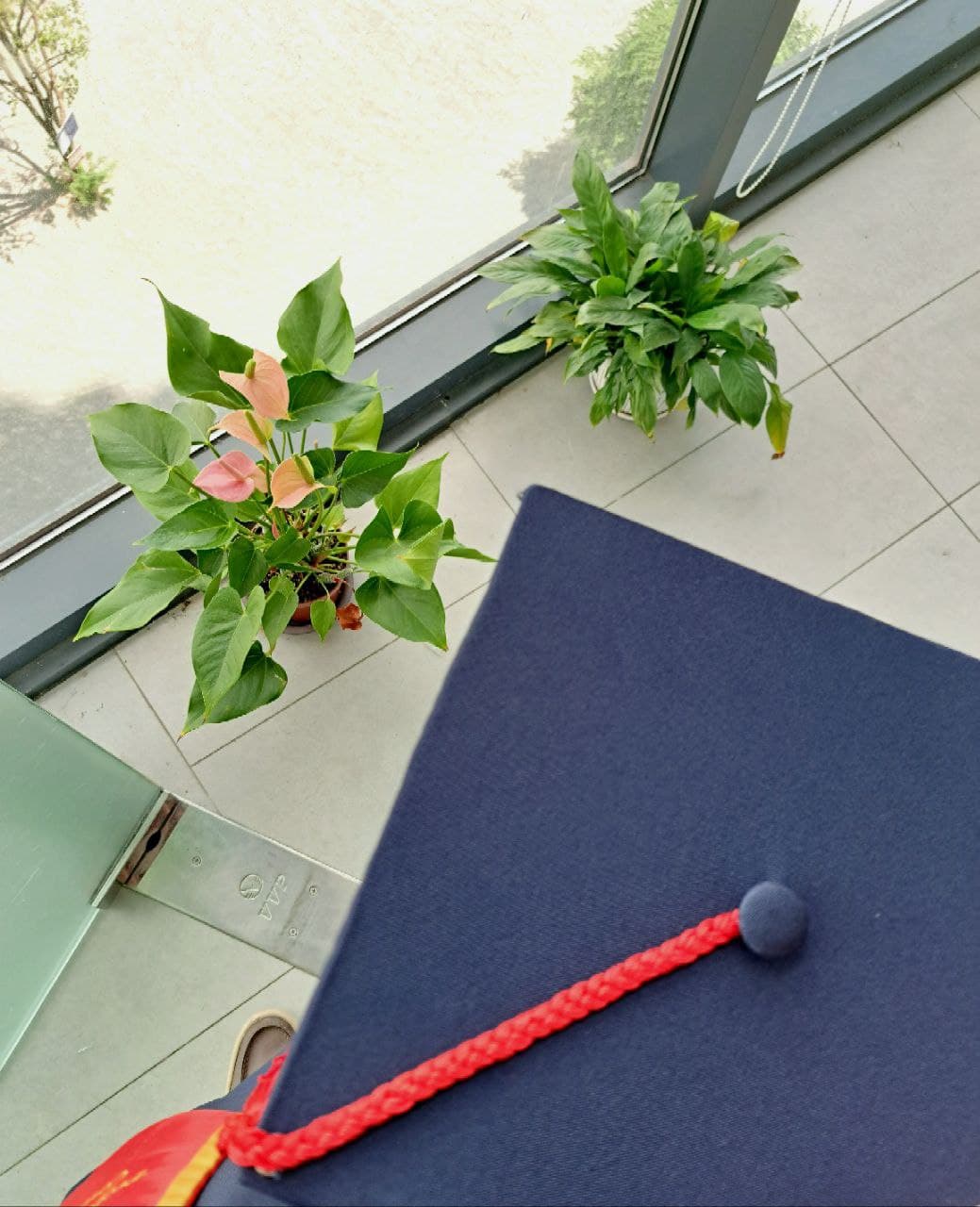 photo_2023-06-13_17-14-56_dwb8dq