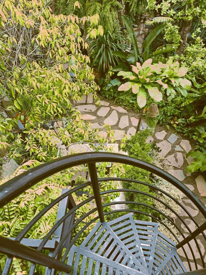 a spiral staircase in a garden surrounded by greenery